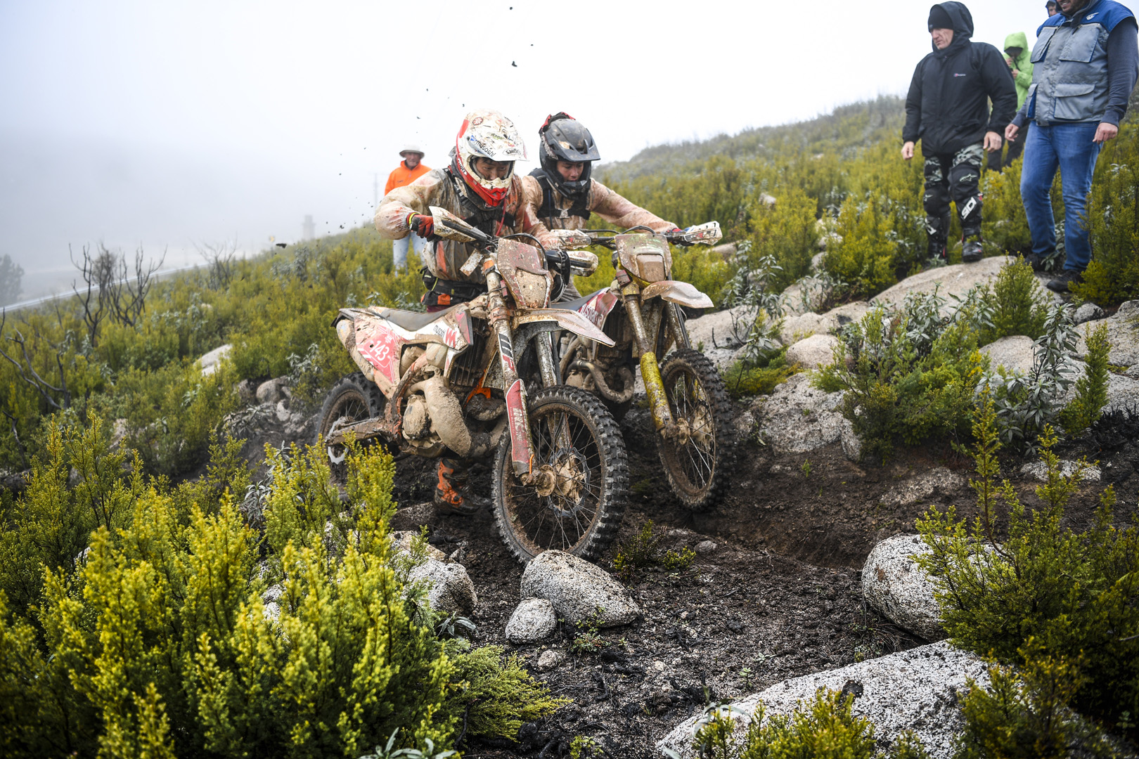 Ambience – FIM ISDE 2019 Portimão © Dario Agrati