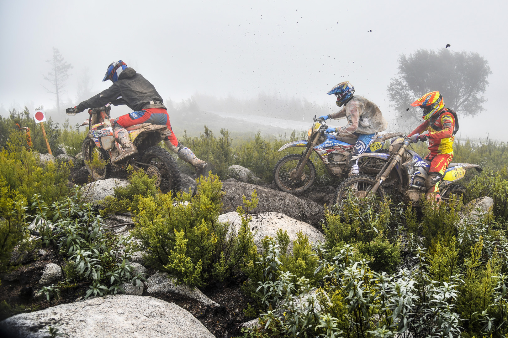 Ambience – FIM ISDE 2019 Portimão © Dario Agrati