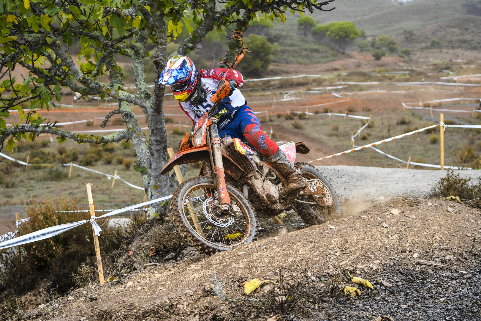 Ryan SIPES – KTM FIM ISDE 2019 Portimão © Dario Agrati